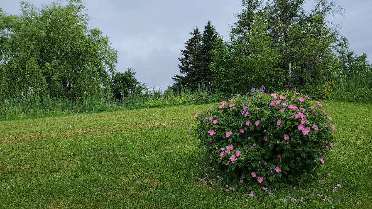 Bouctouche Bay Inn 外观 照片